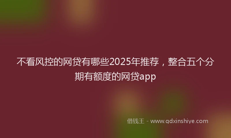 不看风控的网贷有哪些2025年推荐，整合五个分期有额度的网贷app