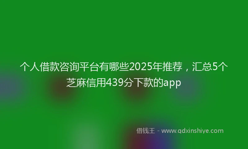 个人借款咨询平台有哪些2025年推荐，汇总5个芝麻信用439分下款的app