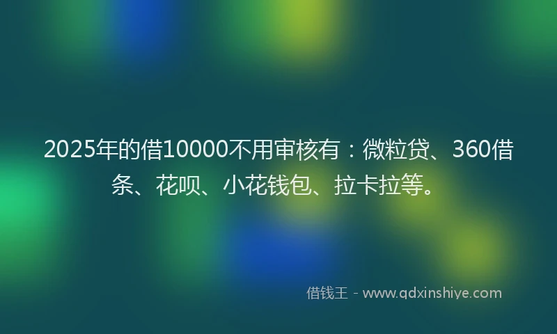 2025年的借10000不用审核有：微粒贷、360借条、花呗、小花钱包、拉卡拉等。