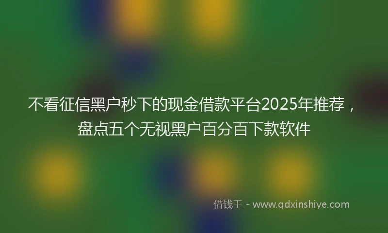 不看征信黑户秒下的现金借款平台2025年推荐，盘点五个无视黑户百分百下款软件