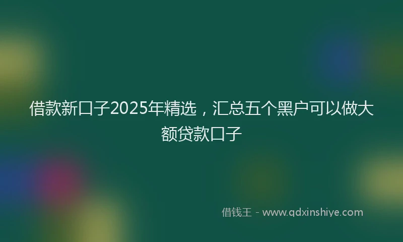 借款新口子2025年精选，汇总五个黑户可以做大额贷款口子