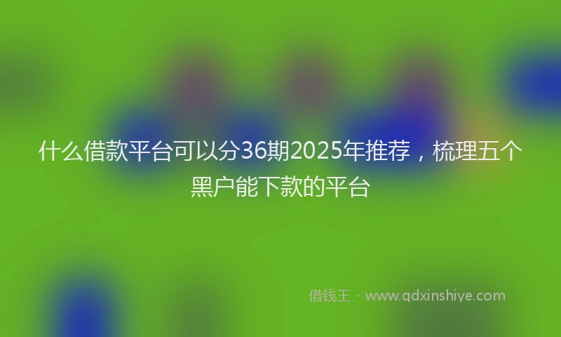 什么借款平台可以分36期2025年推荐，梳理五个黑户能下款的平台