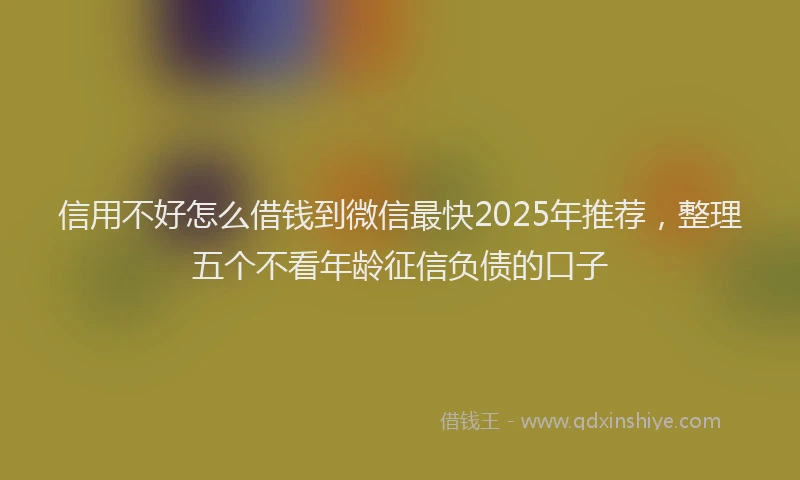 信用不好怎么借钱到微信最快2025年推荐，整理五个不看年龄征信负债的口子