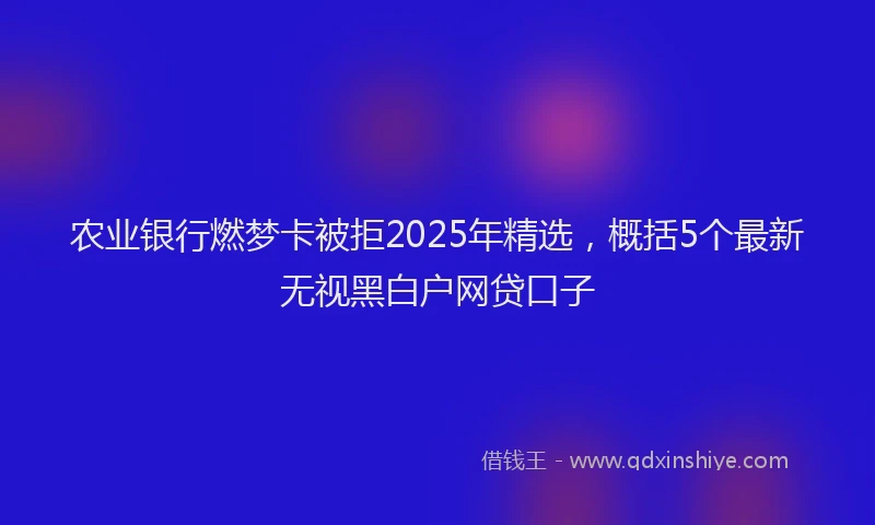农业银行燃梦卡被拒2025年精选，概括5个最新无视黑白户网贷口子