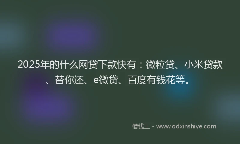 2025年的什么网贷下款快有：微粒贷、小米贷款、替你还、e微贷、百度有钱花等。