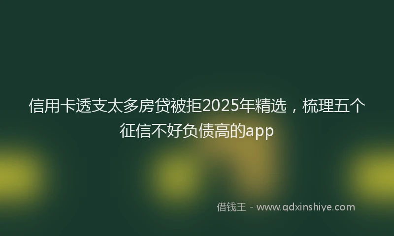 信用卡透支太多房贷被拒2025年精选，梳理五个征信不好负债高的app