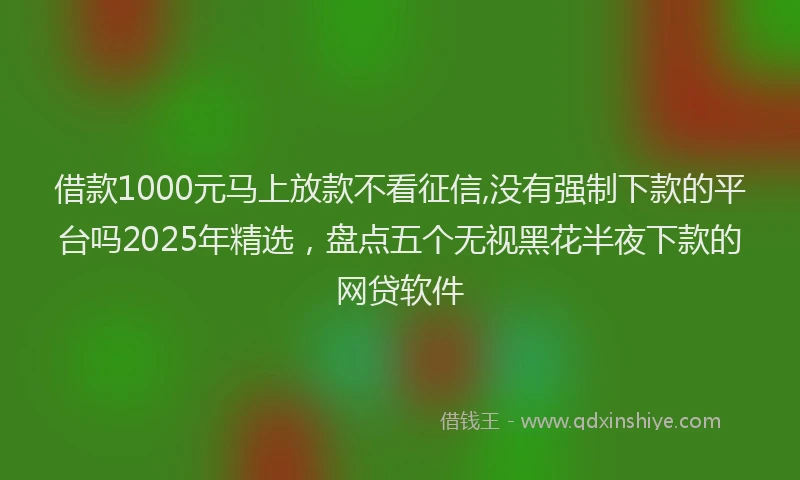 借款1000元马上放款不看征信,没有强制下款的平台吗2025年精选，盘点五个无视黑花半夜下款的网贷软件