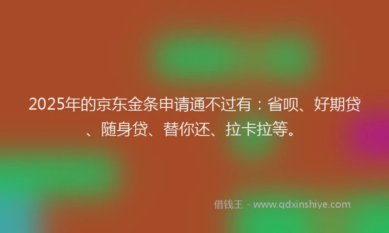 2025年的京东金条申请通不过有：省呗、好期贷、随身贷、替你还、拉卡拉等。
