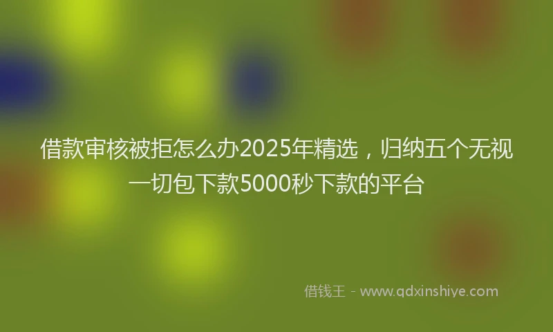 借款审核被拒怎么办2025年精选，归纳五个无视一切包下款5000秒下款的平台