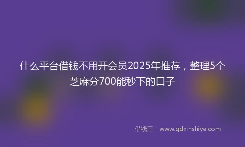 什么平台借钱不用开会员2025年推荐，整理5个芝麻分700能秒下的口子