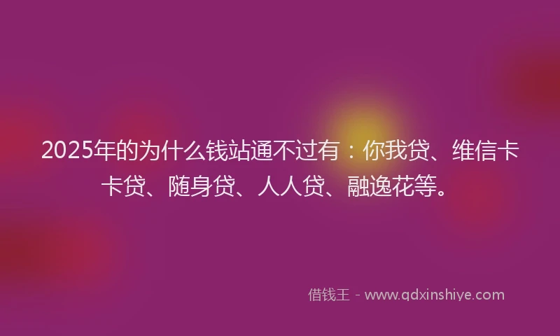 2025年的为什么钱站通不过有：你我贷、维信卡卡贷、随身贷、人人贷、融逸花等。