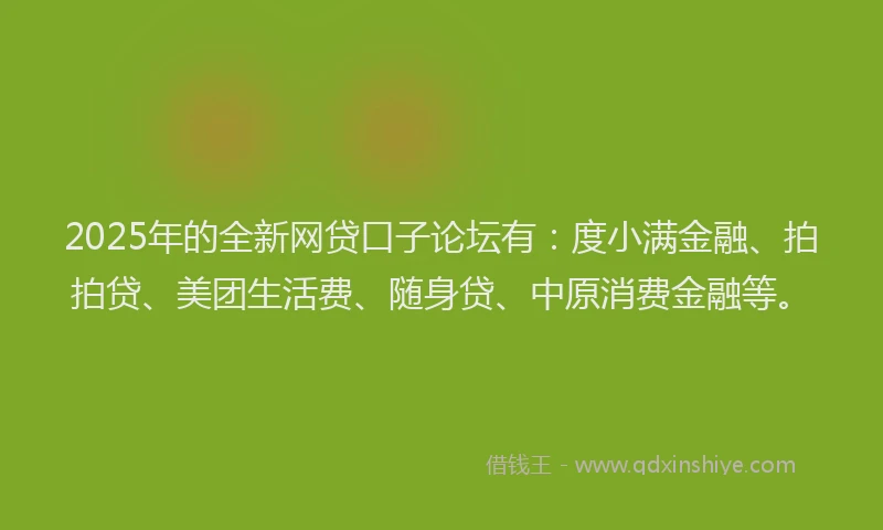 2025年的全新网贷口子论坛有：度小满金融、拍拍贷、美团生活费、随身贷、中原消费金融等。