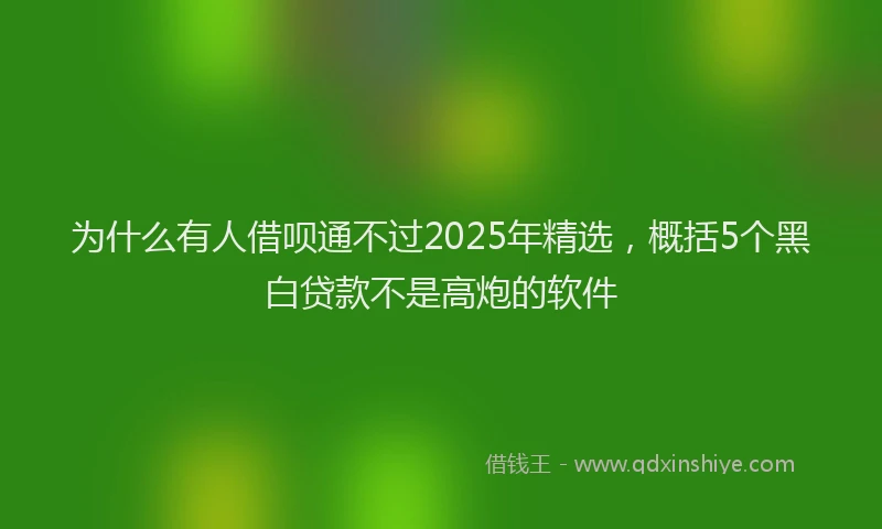 为什么有人借呗通不过2025年精选，概括5个黑白贷款不是高炮的软件