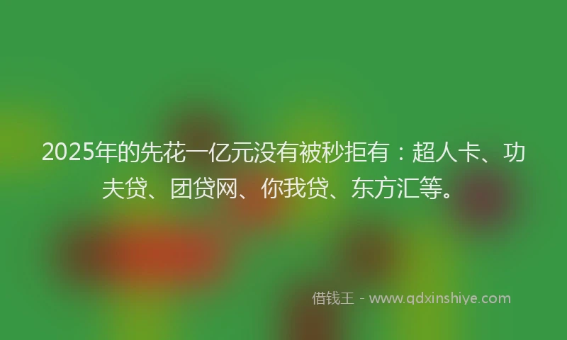 2025年的先花一亿元没有被秒拒有：超人卡、功夫贷、团贷网、你我贷、东方汇等。