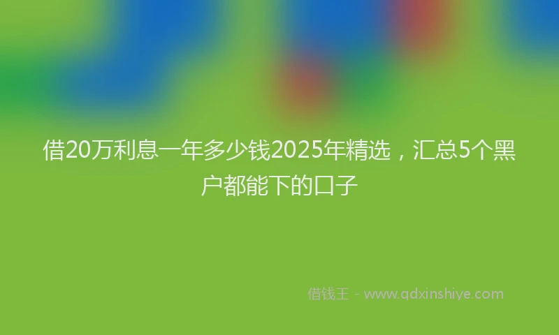 借20万利息一年多少钱2025年精选，汇总5个黑户都能下的口子