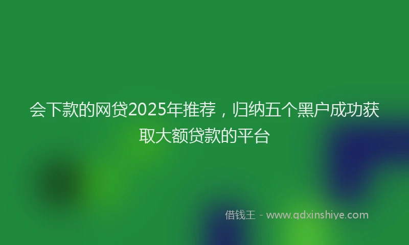 会下款的网贷2025年推荐，归纳五个黑户成功获取大额贷款的平台