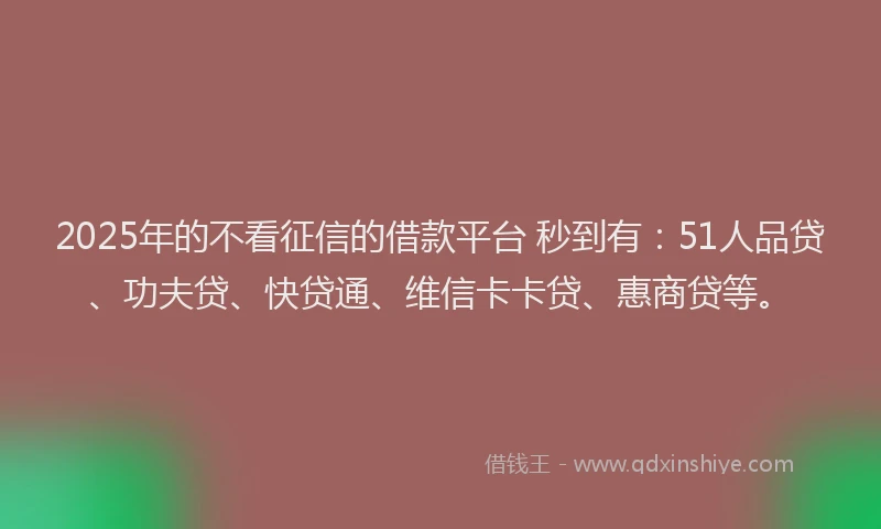 2025年的不看征信的借款平台 秒到有：51人品贷、功夫贷、快贷通、维信卡卡贷、惠商贷等。