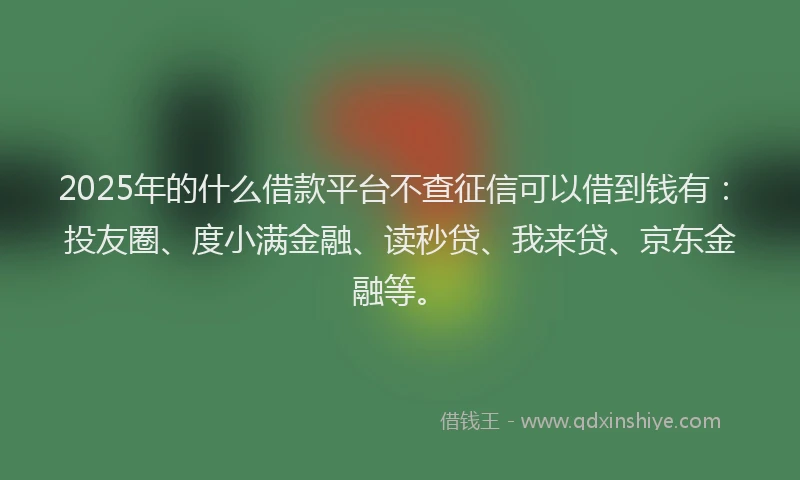 2025年的什么借款平台不查征信可以借到钱有：投友圈、度小满金融、读秒贷、我来贷、京东金融等。