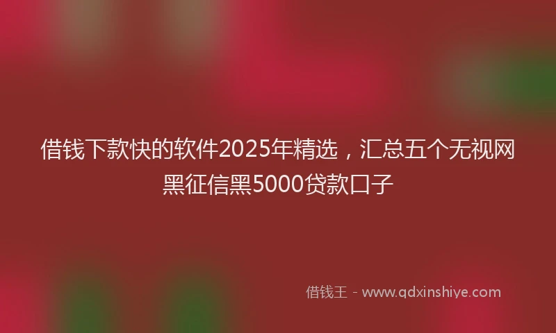 借钱下款快的软件2025年精选，汇总五个无视网黑征信黑5000贷款口子