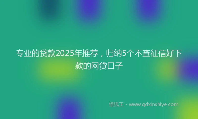 专业的贷款2025年推荐，归纳5个不查征信好下款的网贷口子