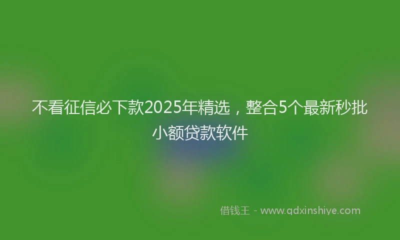 不看征信必下款2025年精选，整合5个最新秒批小额贷款软件