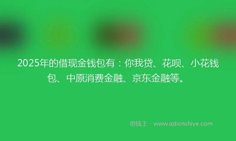 2025年的借现金钱包有：你我贷、花呗、小花钱包、中原消费金融、京东金融等。