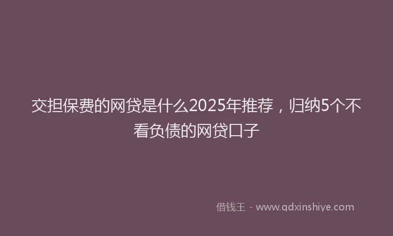 交担保费的网贷是什么2025年推荐，归纳5个不看负债的网贷口子