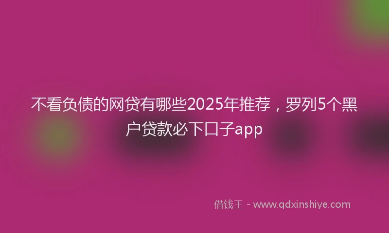 不看负债的网贷有哪些2025年推荐，罗列5个黑户贷款必下口子app