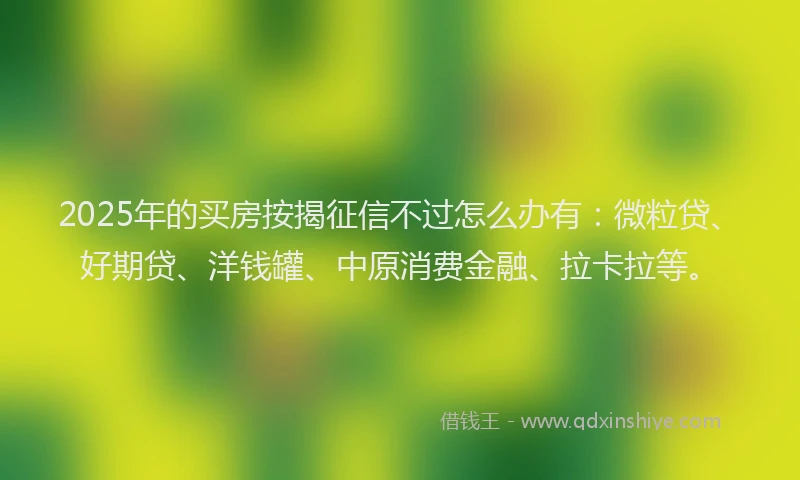 2025年的买房按揭征信不过怎么办有：微粒贷、好期贷、洋钱罐、中原消费金融、拉卡拉等。