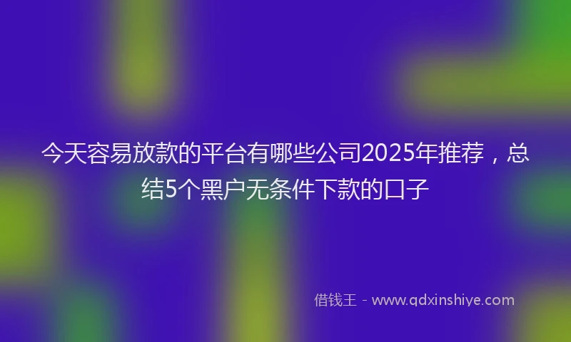 今天容易放款的平台有哪些公司2025年推荐，总结5个黑户无条件下款的口子