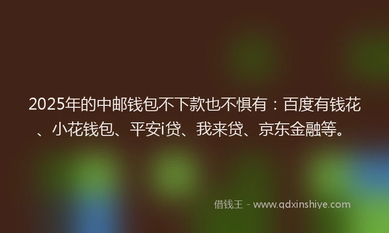 2025年的中邮钱包不下款也不惧有：百度有钱花、小花钱包、平安i贷、我来贷、京东金融等。
