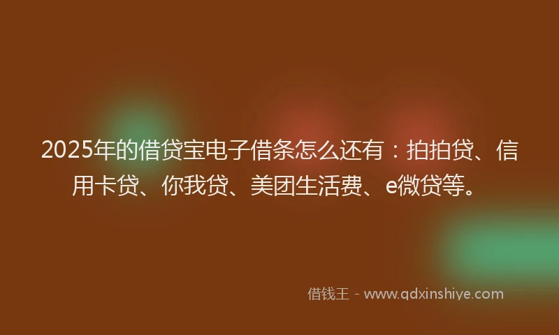 2025年的借贷宝电子借条怎么还有：拍拍贷、信用卡贷、你我贷、美团生活费、e微贷等。