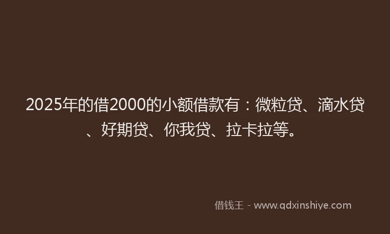 2025年的借2000的小额借款有：微粒贷、滴水贷、好期贷、你我贷、拉卡拉等。