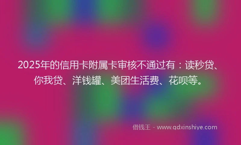 2025年的信用卡附属卡审核不通过有：读秒贷、你我贷、洋钱罐、美团生活费、花呗等。
