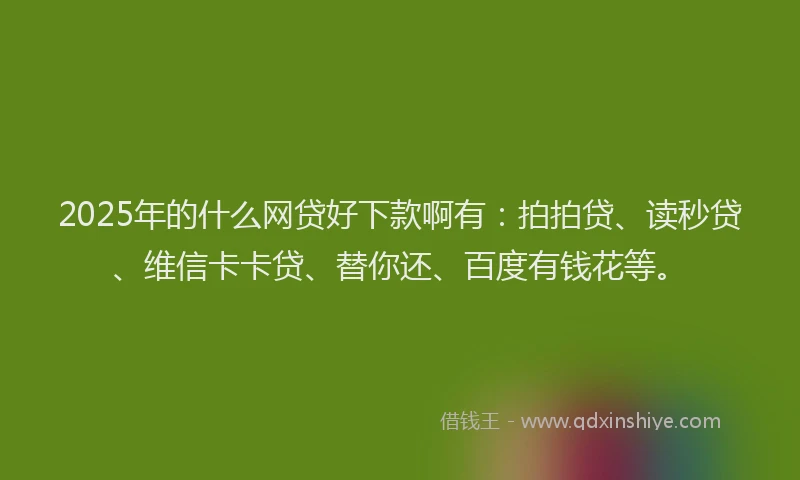 2025年的什么网贷好下款啊有：拍拍贷、读秒贷、维信卡卡贷、替你还、百度有钱花等。