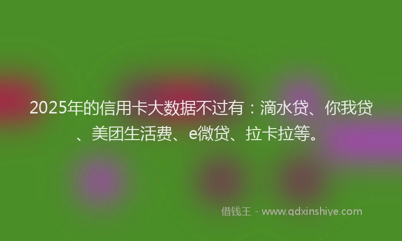 2025年的信用卡大数据不过有：滴水贷、你我贷、美团生活费、e微贷、拉卡拉等。
