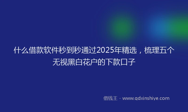 什么借款软件秒到秒通过2025年精选，梳理五个无视黑白花户的下款口子