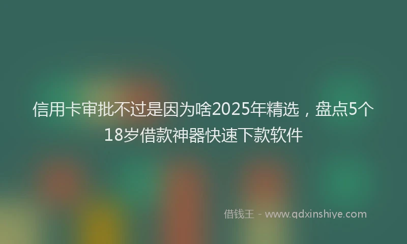 信用卡审批不过是因为啥2025年精选，盘点5个18岁借款神器快速下款软件