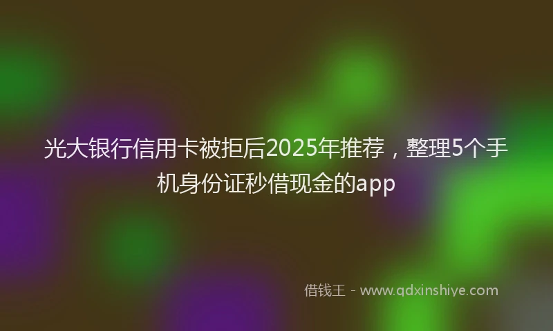 光大银行信用卡被拒后2025年推荐，整理5个手机身份证秒借现金的app