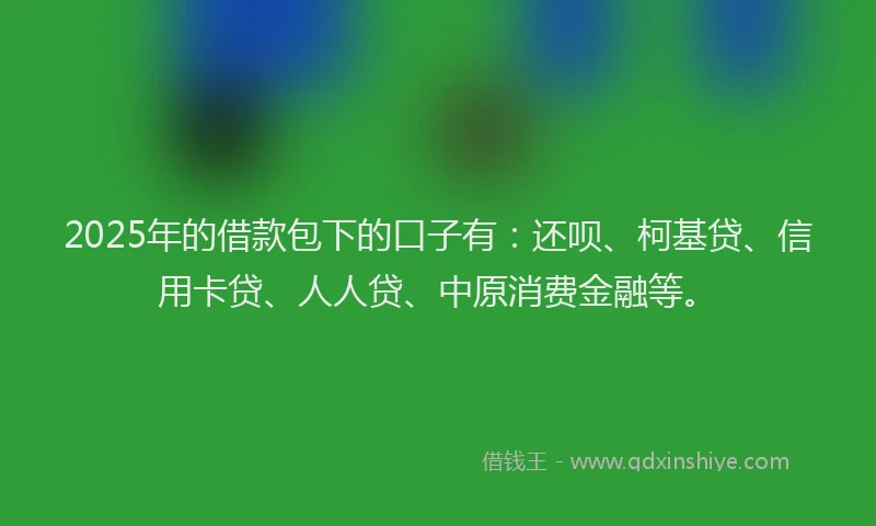 2025年的借款包下的口子有：还呗、柯基贷、信用卡贷、人人贷、中原消费金融等。