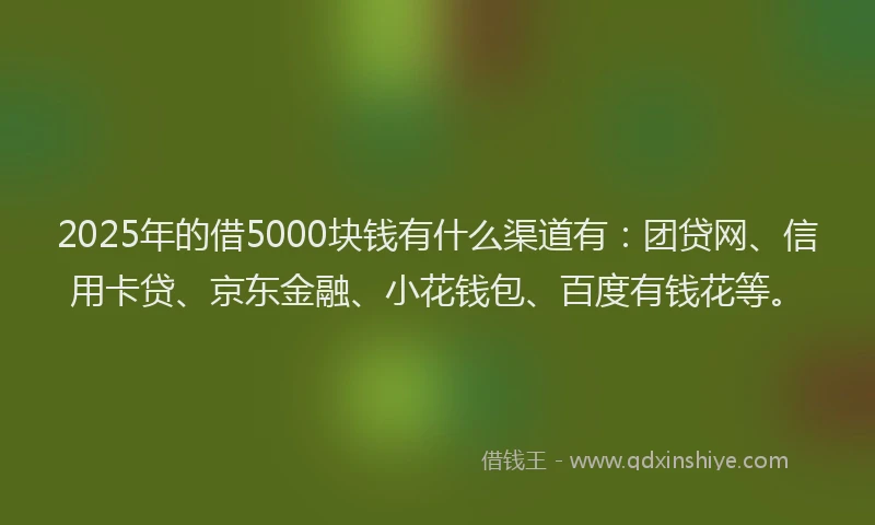 2025年的借5000块钱有什么渠道有：团贷网、信用卡贷、京东金融、小花钱包、百度有钱花等。