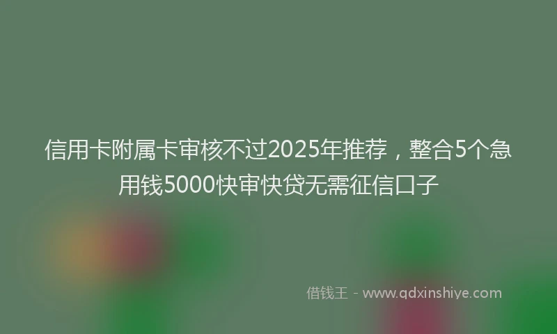 信用卡附属卡审核不过2025年推荐，整合5个急用钱5000快审快贷无需征信口子