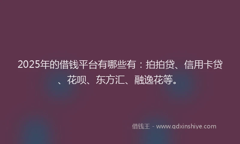 2025年的借钱平台有哪些有：拍拍贷、信用卡贷、花呗、东方汇、融逸花等。