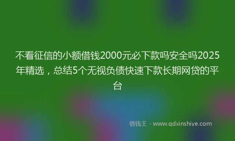 不看征信的小额借钱2000元必下款吗安全吗2025年精选，总结5个无视负债快速下款长期网贷的平台