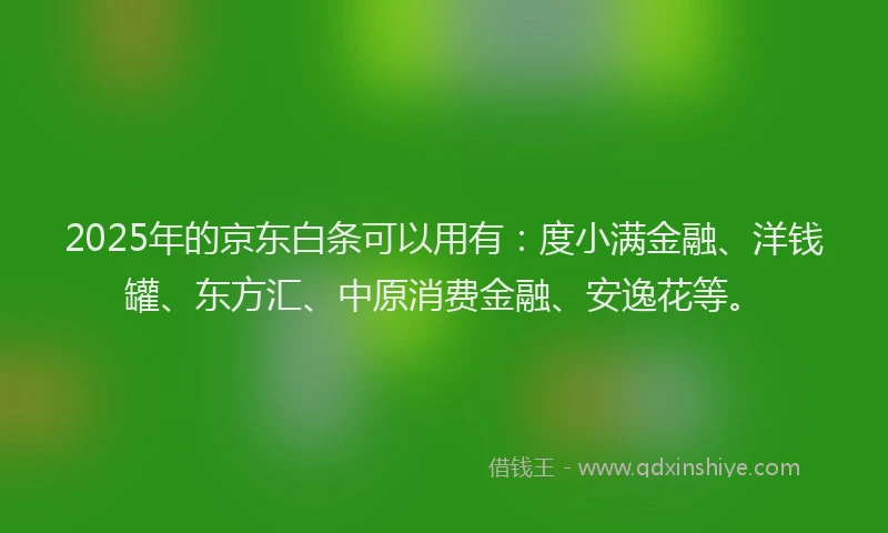 2025年的京东白条可以用有：度小满金融、洋钱罐、东方汇、中原消费金融、安逸花等。