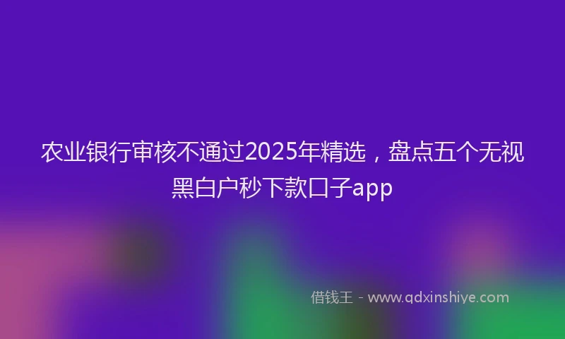 农业银行审核不通过2025年精选，盘点五个无视黑白户秒下款口子app