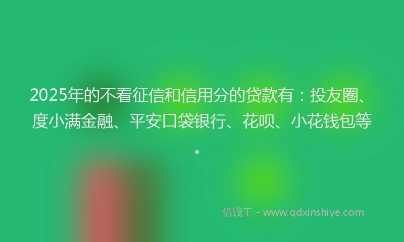 2025年的不看征信和信用分的贷款有：投友圈、度小满金融、平安口袋银行、花呗、小花钱包等。