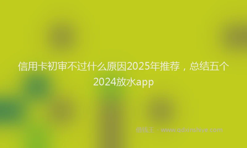 信用卡初审不过什么原因2025年推荐，总结五个2024放水app