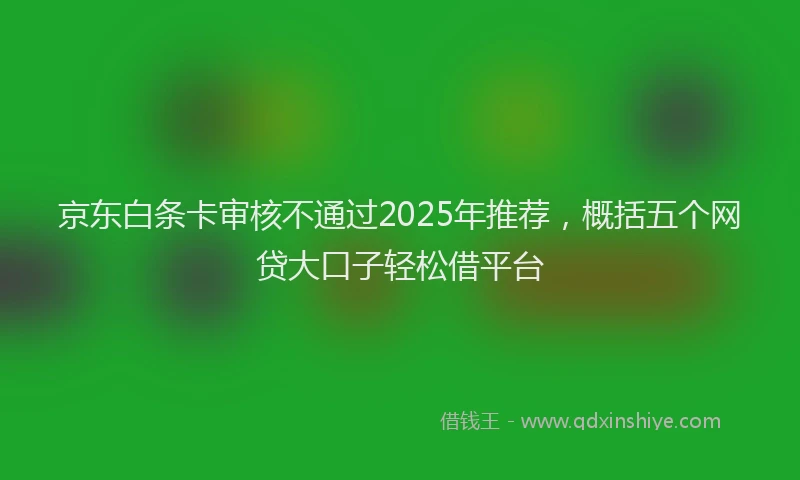 京东白条卡审核不通过2025年推荐，概括五个网贷大口子轻松借平台