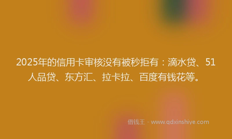 2025年的信用卡审核没有被秒拒有：滴水贷、51人品贷、东方汇、拉卡拉、百度有钱花等。